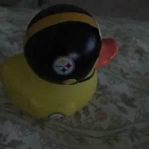 Meet your Posher, Ann